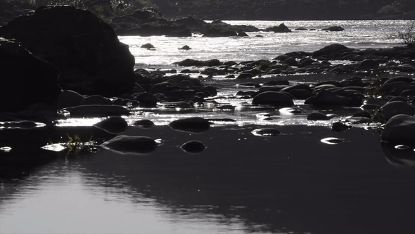 Japan-river.gif